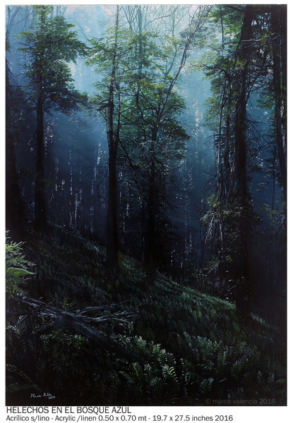 helechos-en-el-bosque-azul-mv20162709-0-50-x-0-70-mt-fb
