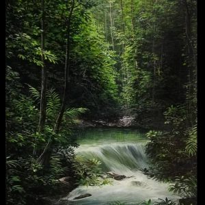 RIO EN EL BOSQUE