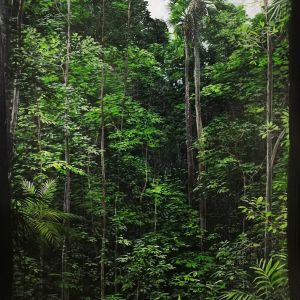 BOSQUE AL MEDIODIA