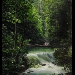 RIO EN EL BOSQUE