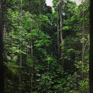 BOSQUE AL MEDIODIA