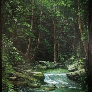 RIO EN EL BOSQUE